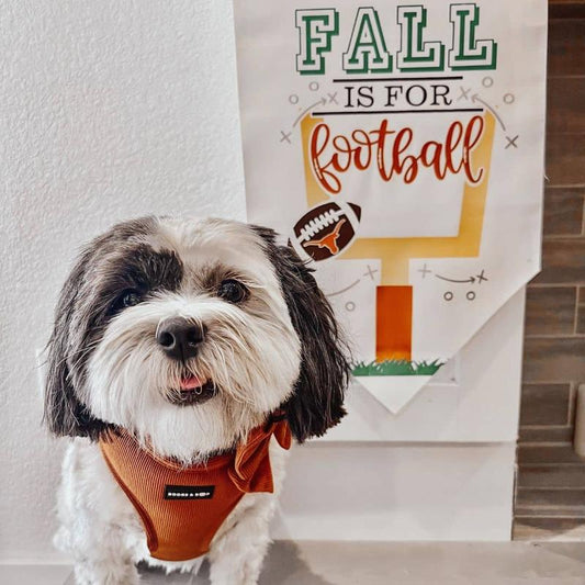 ✨ Adjustable Corduroy Dog Harness – Rust | Stylish, Comfy & Durable