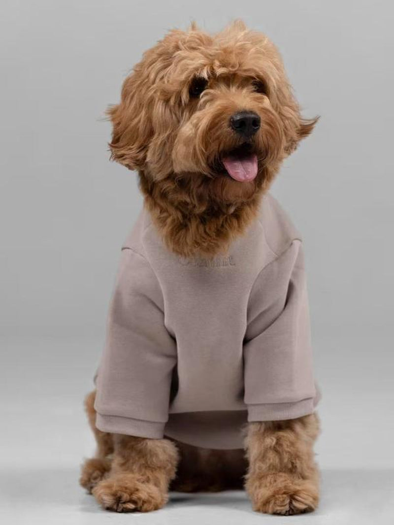 Comfrt | Signature Paw Hoodie | for Stress & Anxiety