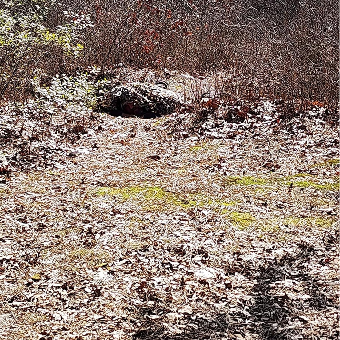🌿 Camouflage Netting – Durable, Waterproof & Stealth Cover for Hunting 🦌