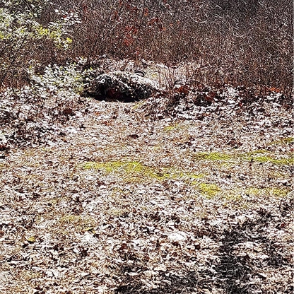 🌿 Camouflage Netting – Durable, Waterproof & Stealth Cover for Hunting 🦌