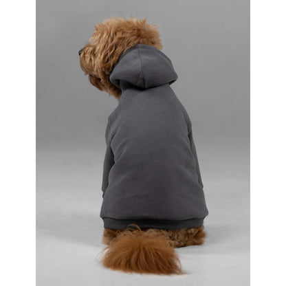 Comfrt | Signature Paw Hoodie | for Stress & Anxiety