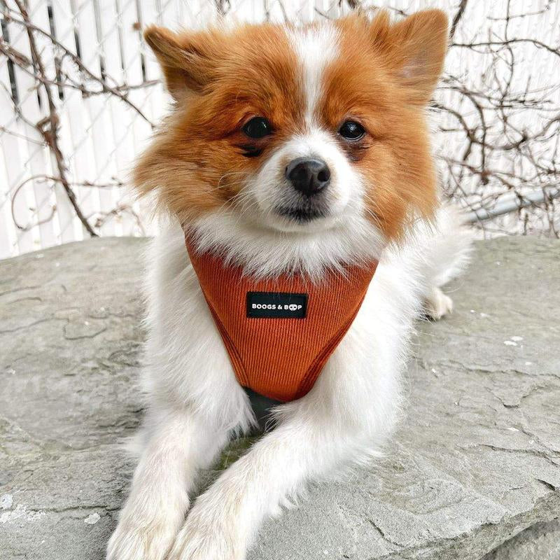 ✨ Adjustable Corduroy Dog Harness – Rust | Stylish, Comfy & Durable