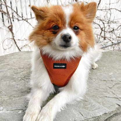 ✨ Adjustable Corduroy Dog Harness – Rust | Stylish, Comfy & Durable