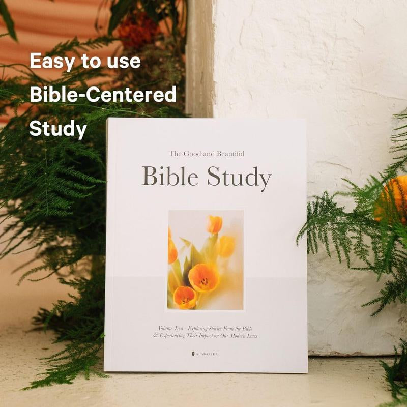 Alabaster the Good and Beautiful Bible Study - Volume 2: Exploring Stories from the Bible & Experiencing Their Impact on Our Modern Lives